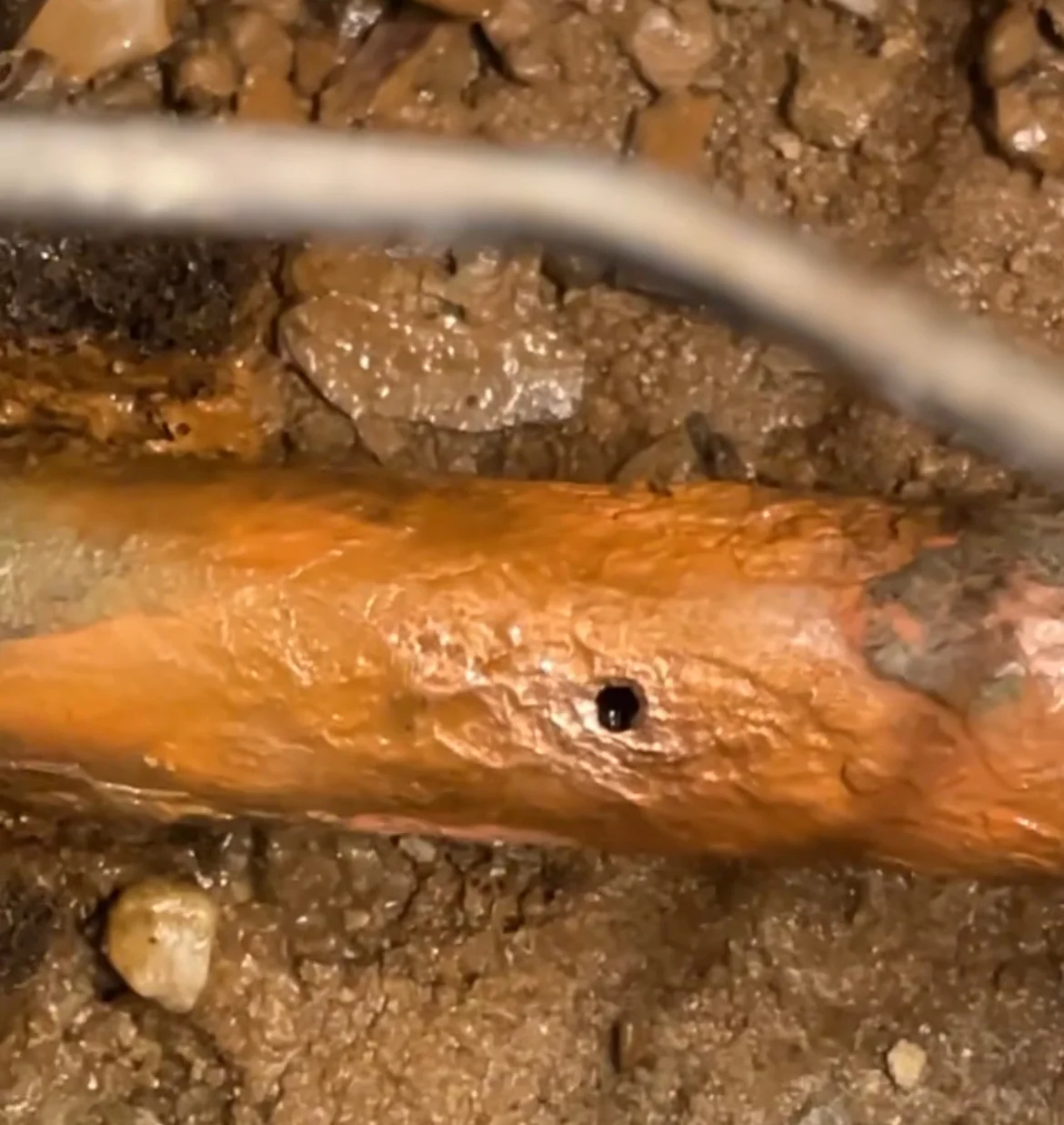 Leak Detection